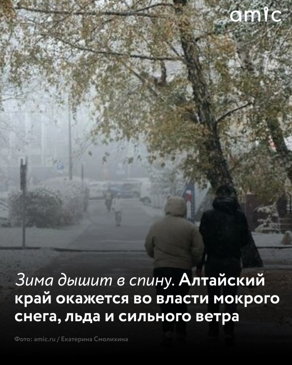 Непогода настигнет Алтайский край 1 и 2 ноября