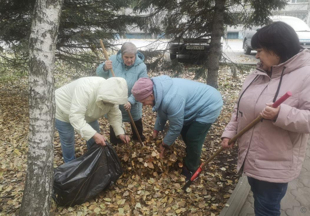 Более 9 тысяч барнаульцев стали участниками последнего октябрьского «чистого четверга» Более 9 тысяч барнаульцев стали участниками последнего октябрьского «чистого четверга»