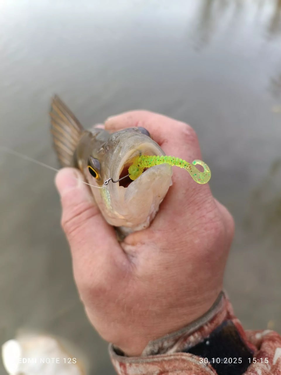Алтайские рыбаки продолжают хвастаться уловом Алтайские рыбаки продолжают хвастаться уловом