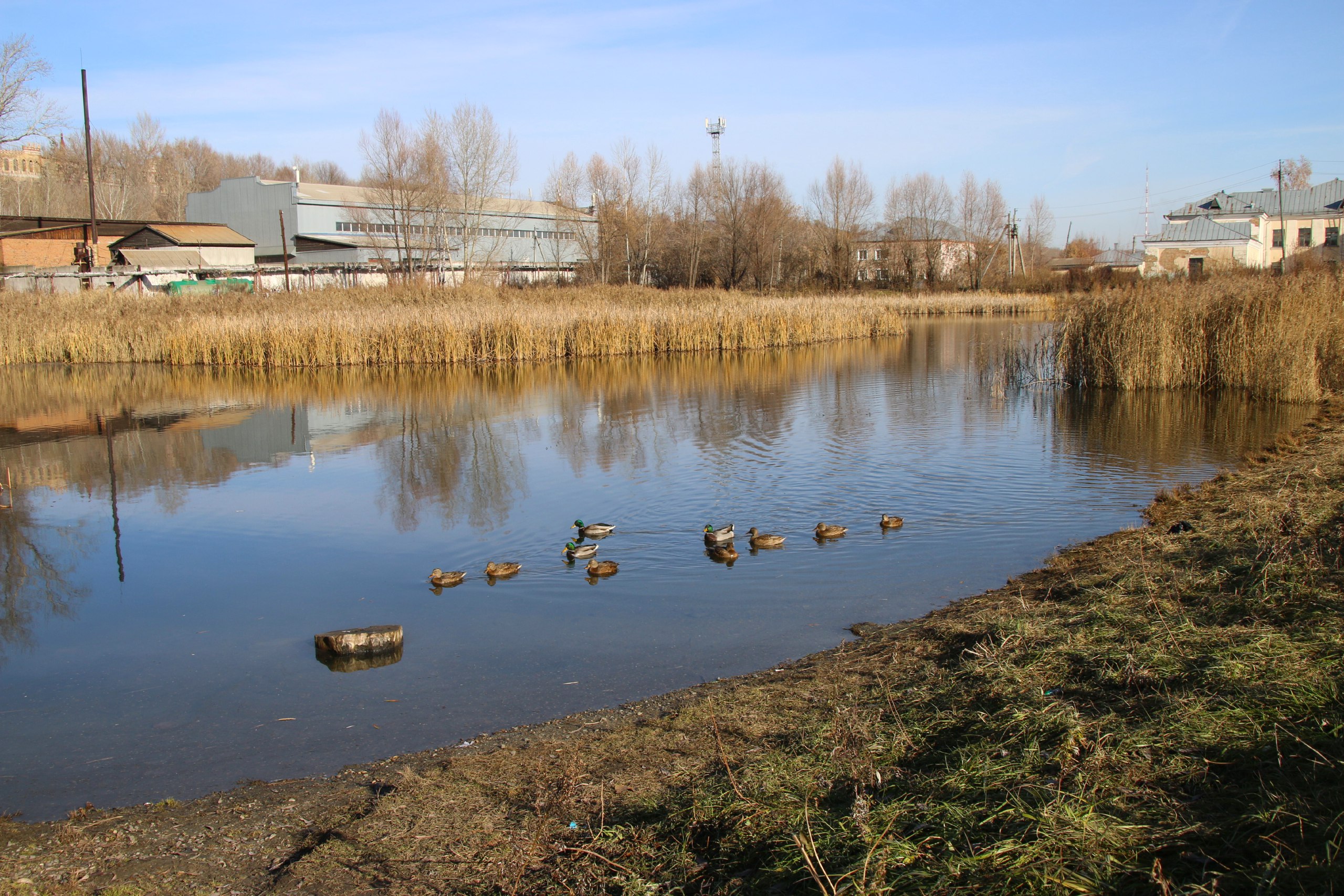 Важный этап для любимого многими бийчанами озера Важный этап для любимого многими бийчанами озера