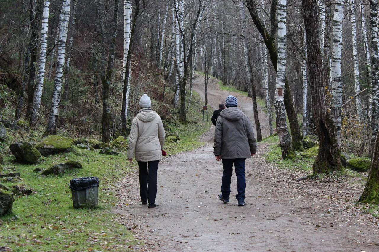 Благоустройство терренкура "Старая мельница" в Белокурихе продолжается Благоустройство терренкура "Старая мельница" в Белокурихе продолжается