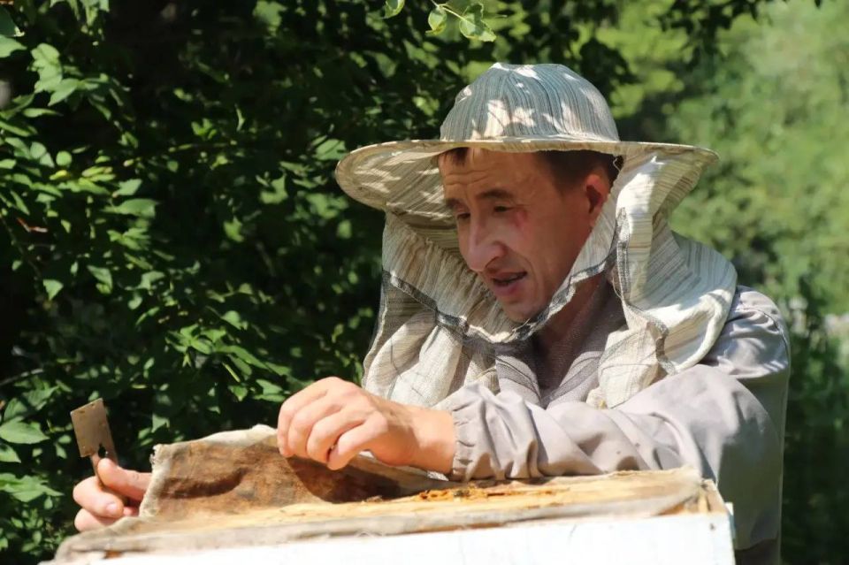 Виктор Томенко: В нашем Алтайском крае, лидирующем среди регионов России по производству товарного мёда, продолжается подготовка к всероссийскому «Апифоруму Алтай 2025»