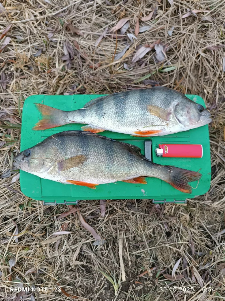 Алтайские рыбаки продолжают хвастаться уловом Алтайские рыбаки продолжают хвастаться уловом