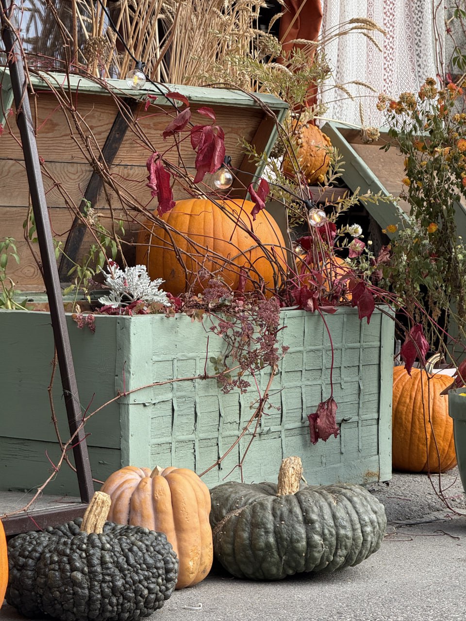 А вы готовы к Тыквенному Спасу? А вы готовы к Тыквенному Спасу?