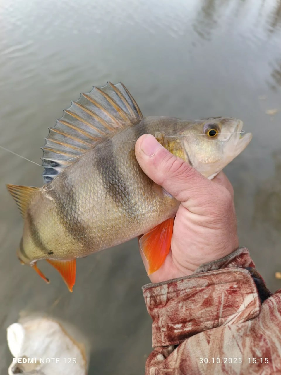 Алтайские рыбаки продолжают хвастаться уловом Алтайские рыбаки продолжают хвастаться уловом