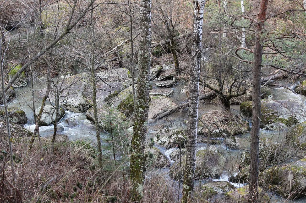 Благоустройство терренкура "Старая мельница" в Белокурихе продолжается Благоустройство терренкура "Старая мельница" в Белокурихе продолжается