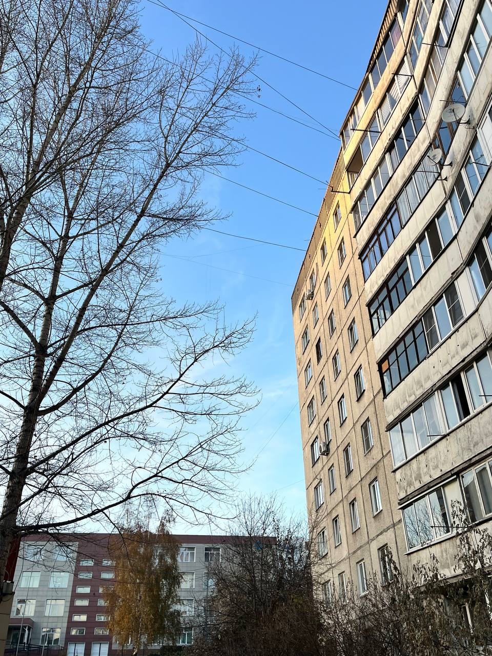 Доброе ноябрьское утро, Алтайский край!