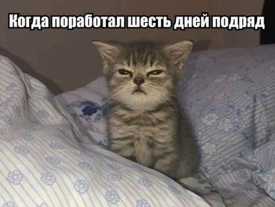 На календаре суббота… и да, она рабочая