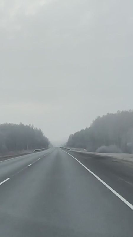 Любуемся осенним лесом вместе