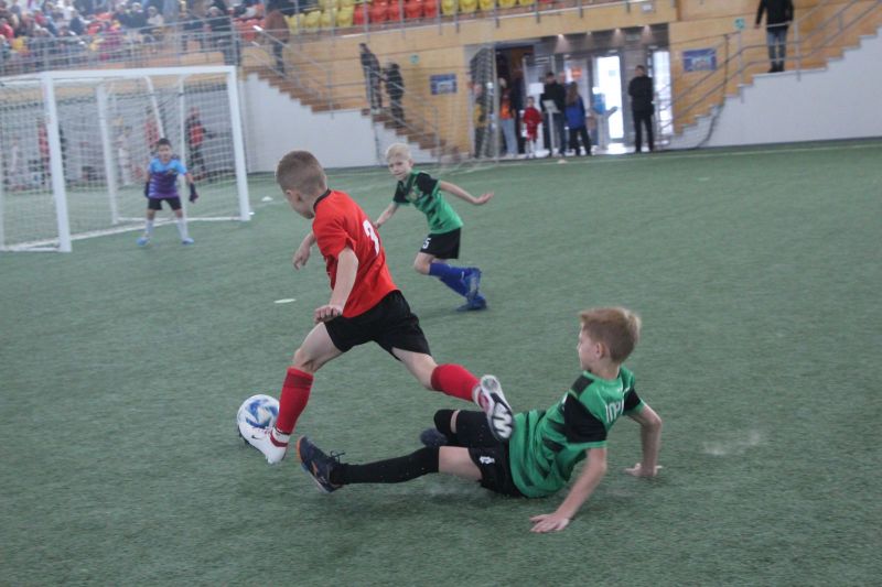 В Барнауле состоялся V межрегиональный турнир памяти Виктора Горлова «Сибирский самородок» В Барнауле состоялся V межрегиональный турнир памяти Виктора Горлова «Сибирский самородок»