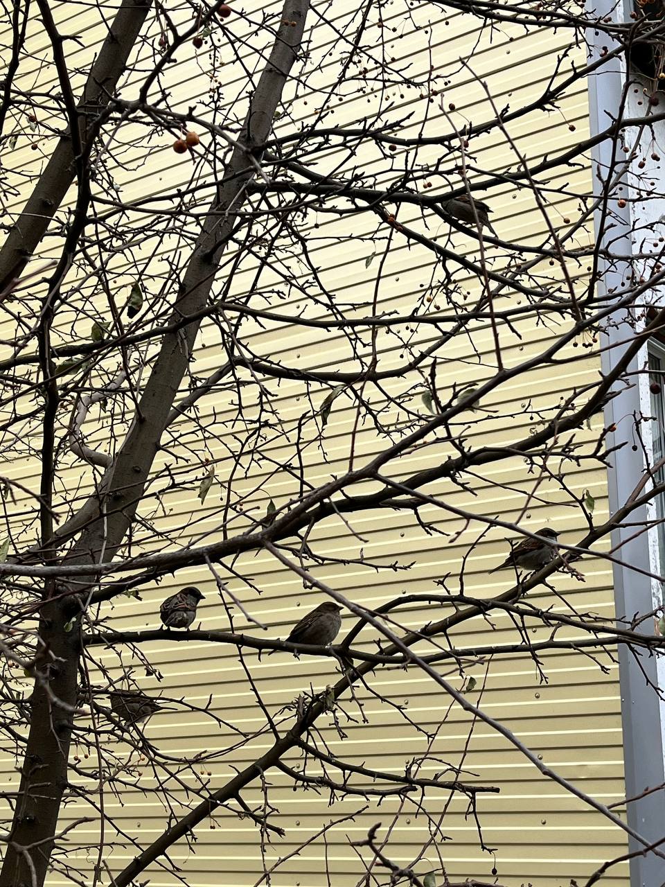 Доброго нерабочего понедельника, Алтайский край! Доброго нерабочего понедельника, Алтайский край!