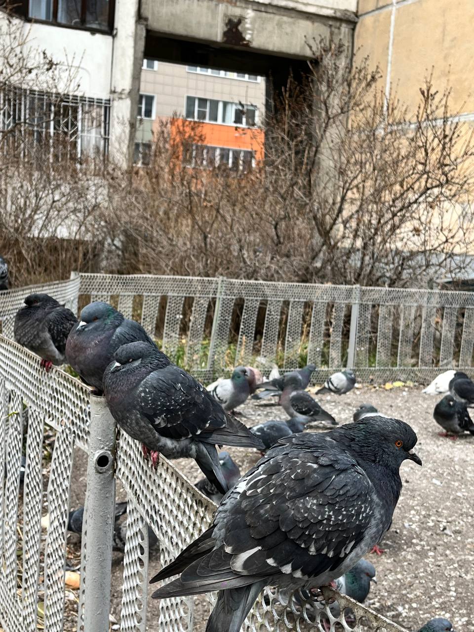 Всем доброго утра и отличного вторника! С Днём народного единства! Всем доброго утра и отличного вторника! С Днём народного единства!