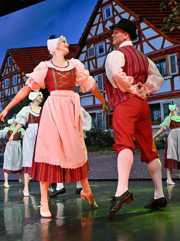 В День народного единства ансамбль «Алтай» представил новую концертную программу