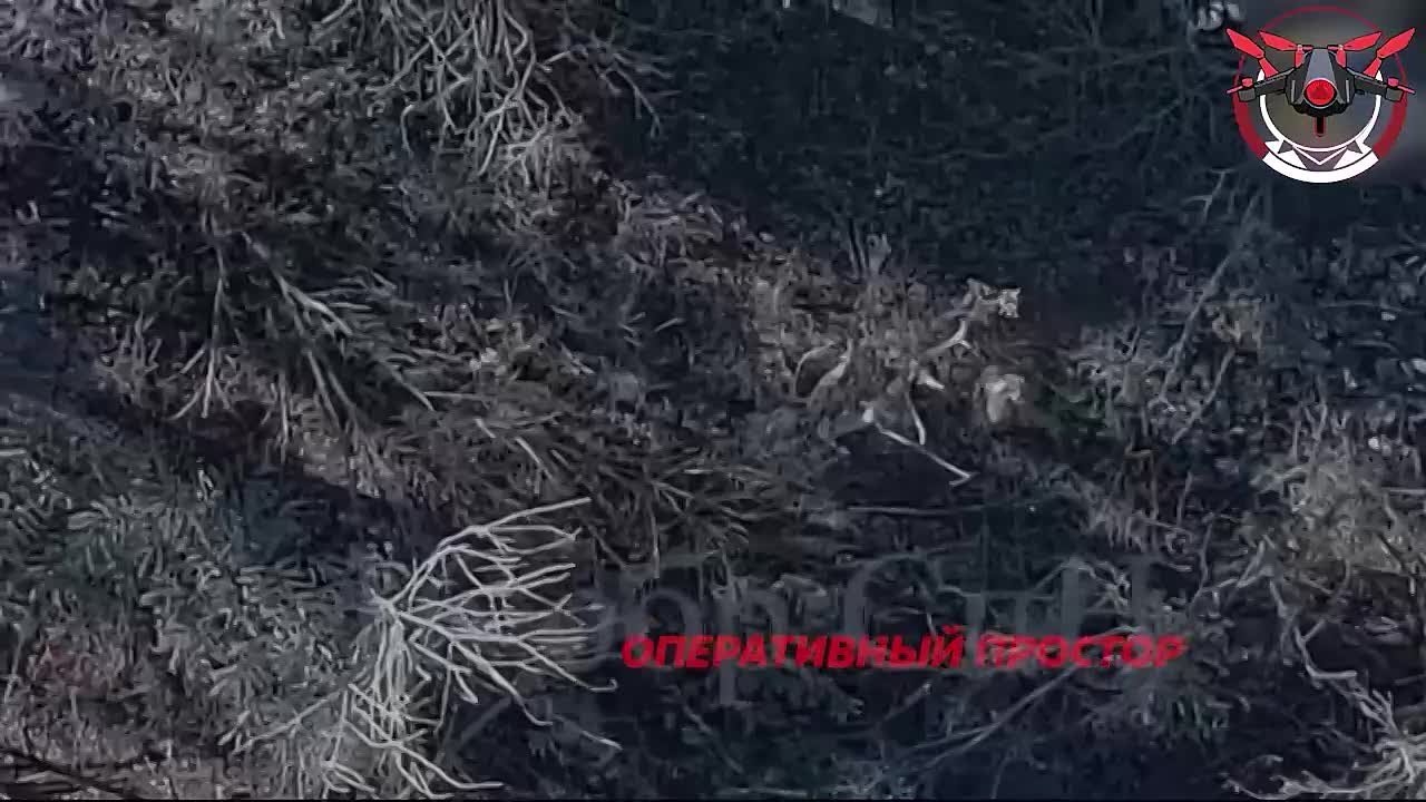 Спецназ ГВ «Запад» взял в плен трёх боевиков ВСУ и спас от налёта своих же FPV-шек