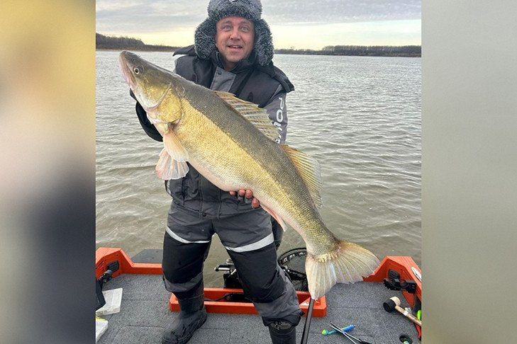 Сибиряк поймал гигантского судака