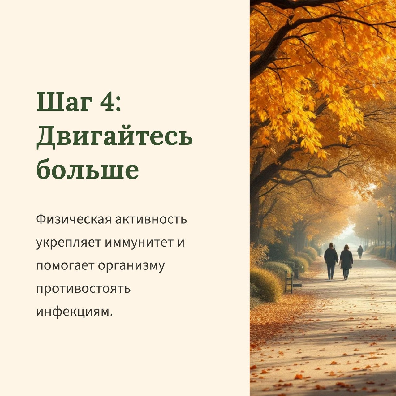 С первым снегом приходят и первые простуды С первым снегом приходят и первые простуды