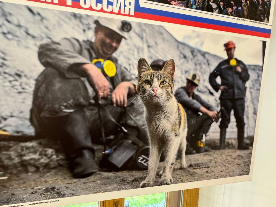 Игорь Кастюкевич: Фотография — это больше, чем искусство или ремесло Игорь Кастюкевич: Фотография — это больше, чем искусство или ремесло