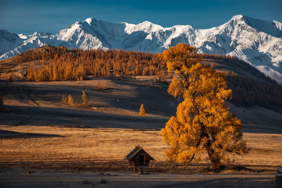 24 алтайских фотографа представят свои работы на выставке в Художественном музее