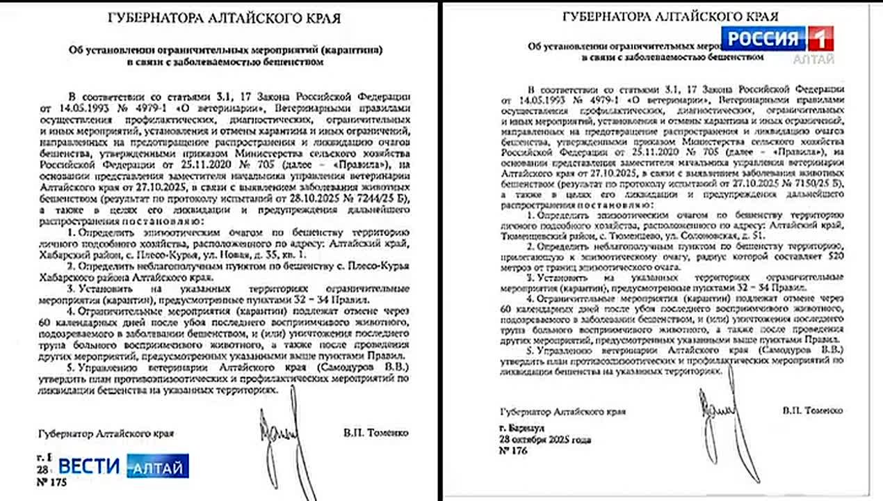 Губернатор края подписал два указа о введении карантина в связи с выявленными случаями бешенства