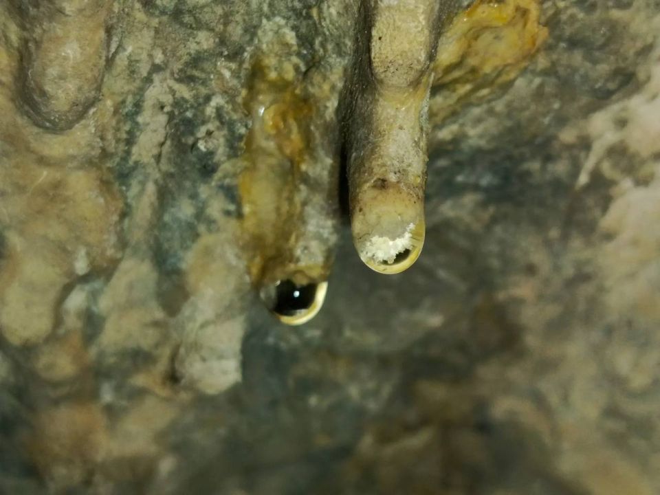 Одна из малоизученных и древних пещер Республики Алтай оказалась полна бесценных археологических находок Одна из малоизученных и древних пещер Республики Алтай оказалась полна бесценных археологических находок