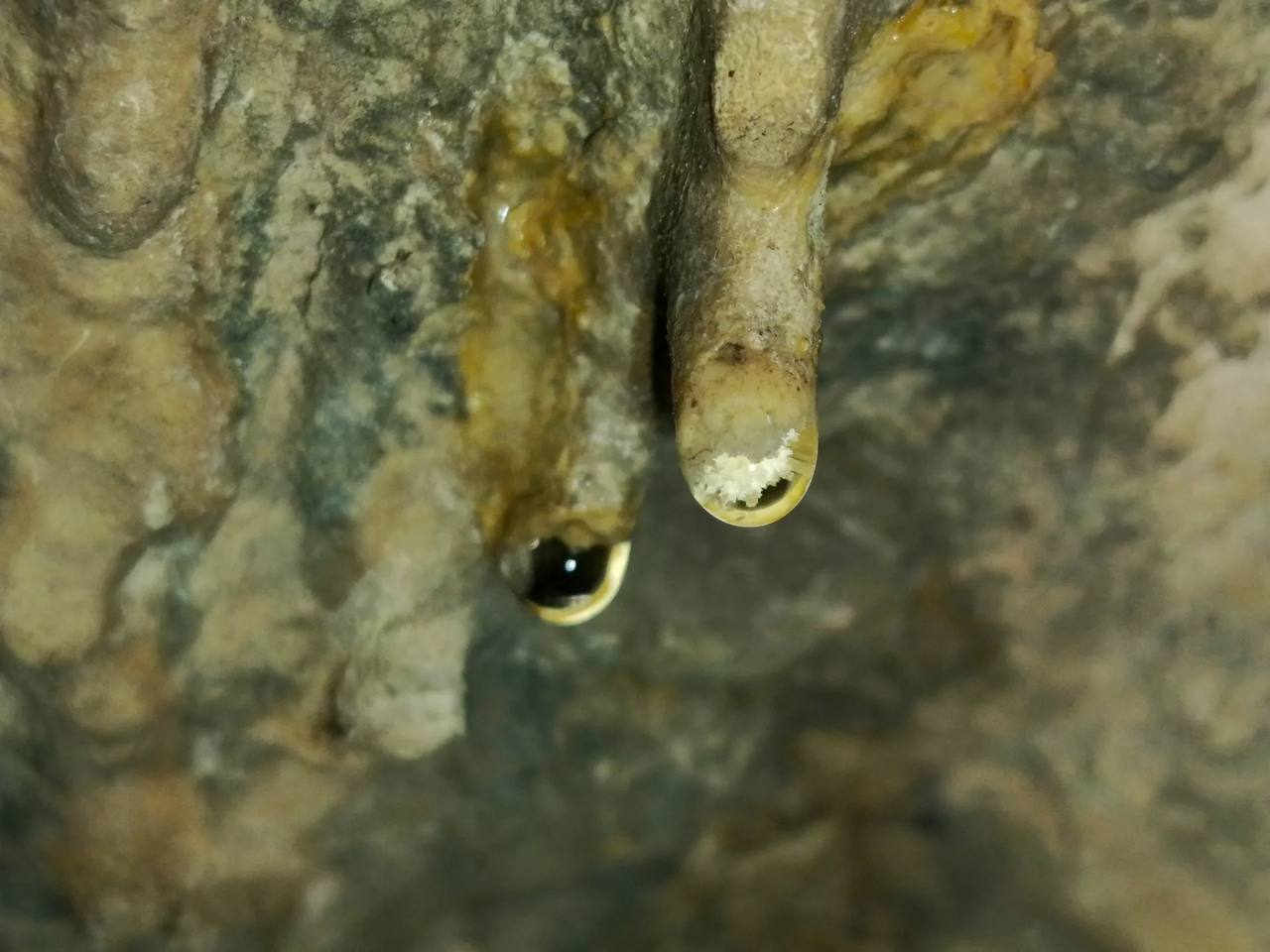 Одна из малоизученных и древних пещер Республики Алтай оказалась полна бесценных археологических находок Одна из малоизученных и древних пещер Республики Алтай оказалась полна бесценных археологических находок