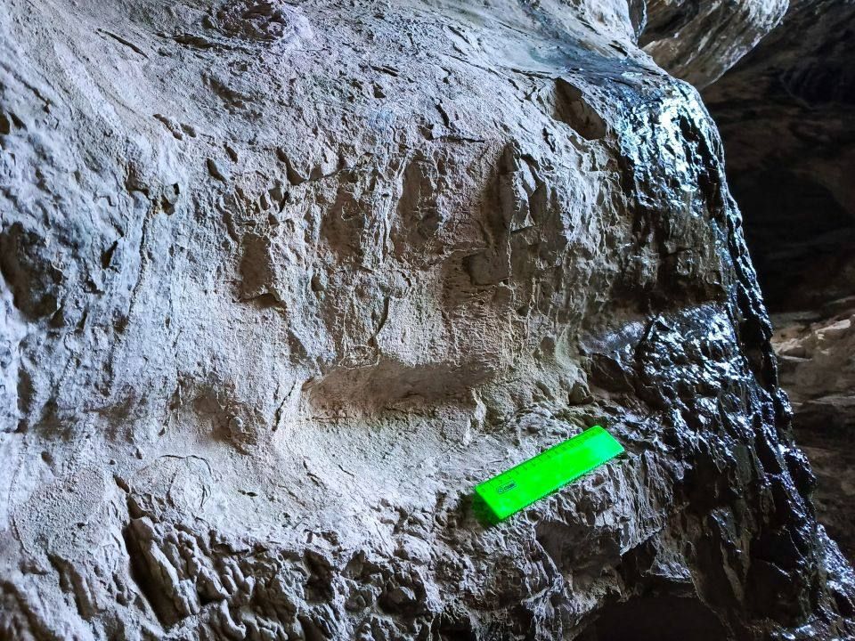 Одна из малоизученных и древних пещер Республики Алтай оказалась полна бесценных археологических находок