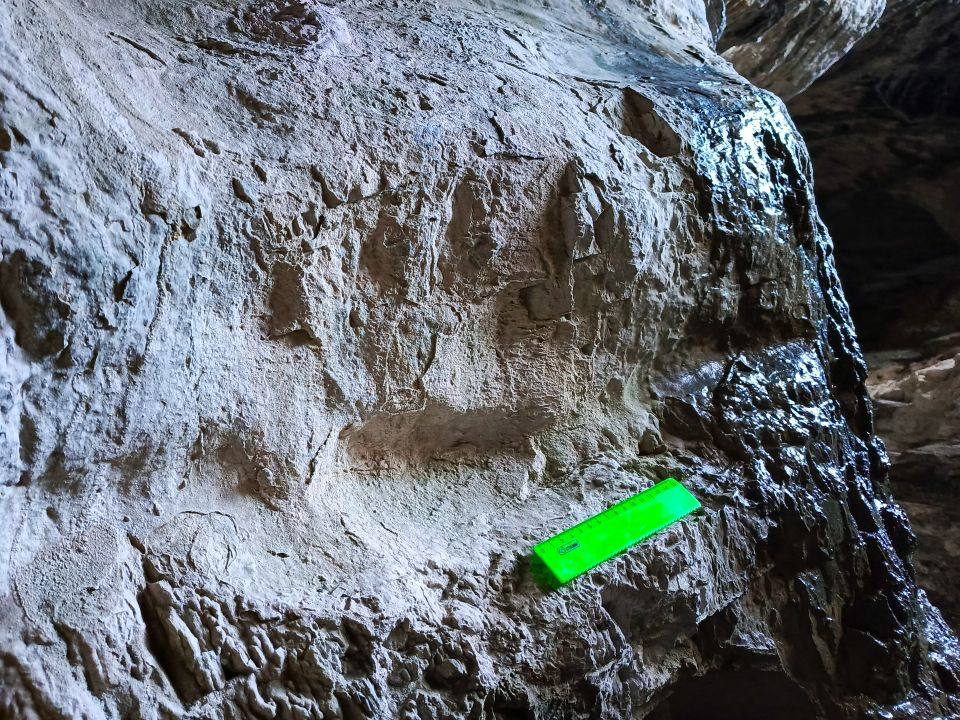 Одна из малоизученных и древних пещер Республики Алтай оказалась полна бесценных археологических находок