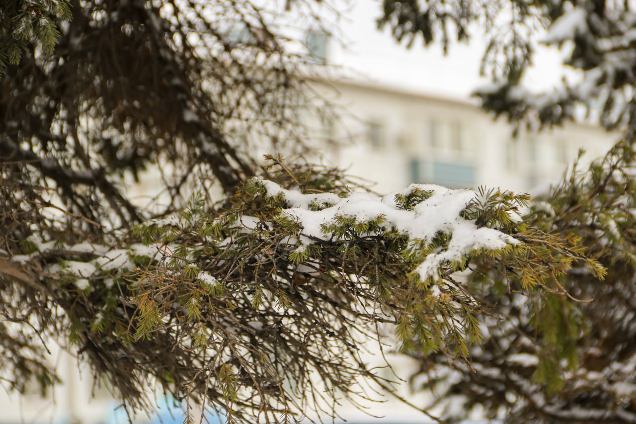 Сегодня в Барнаул пришла зима Сегодня в Барнаул пришла зима