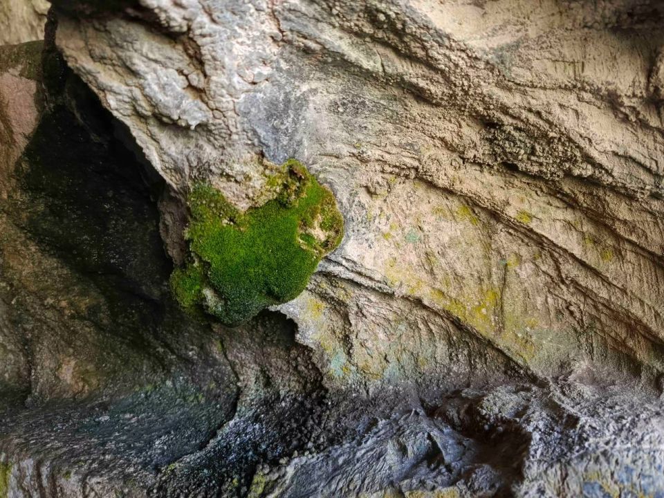 Одна из малоизученных и древних пещер Республики Алтай оказалась полна бесценных археологических находок Одна из малоизученных и древних пещер Республики Алтай оказалась полна бесценных археологических находок