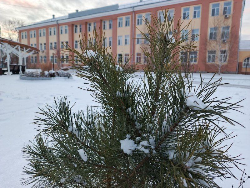 Доброе утро, Рубцовск!. Сегодня, по прогнозам синоптиков, переменная облачность, возможны гололёдные явления дождь и мокрый снег