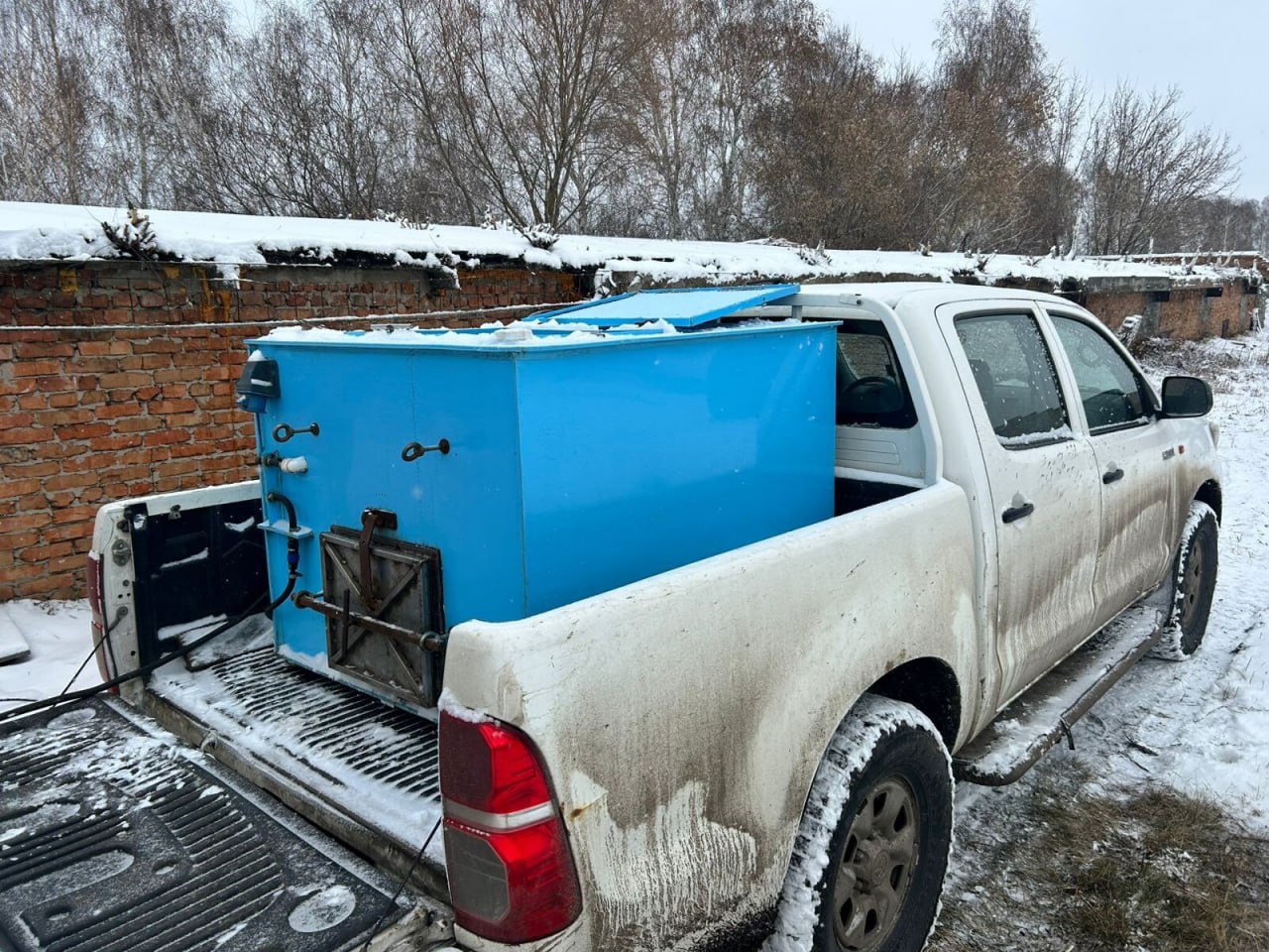 В Обь выпустили более 40 тысяч мальков сазана В Обь выпустили более 40 тысяч мальков сазана