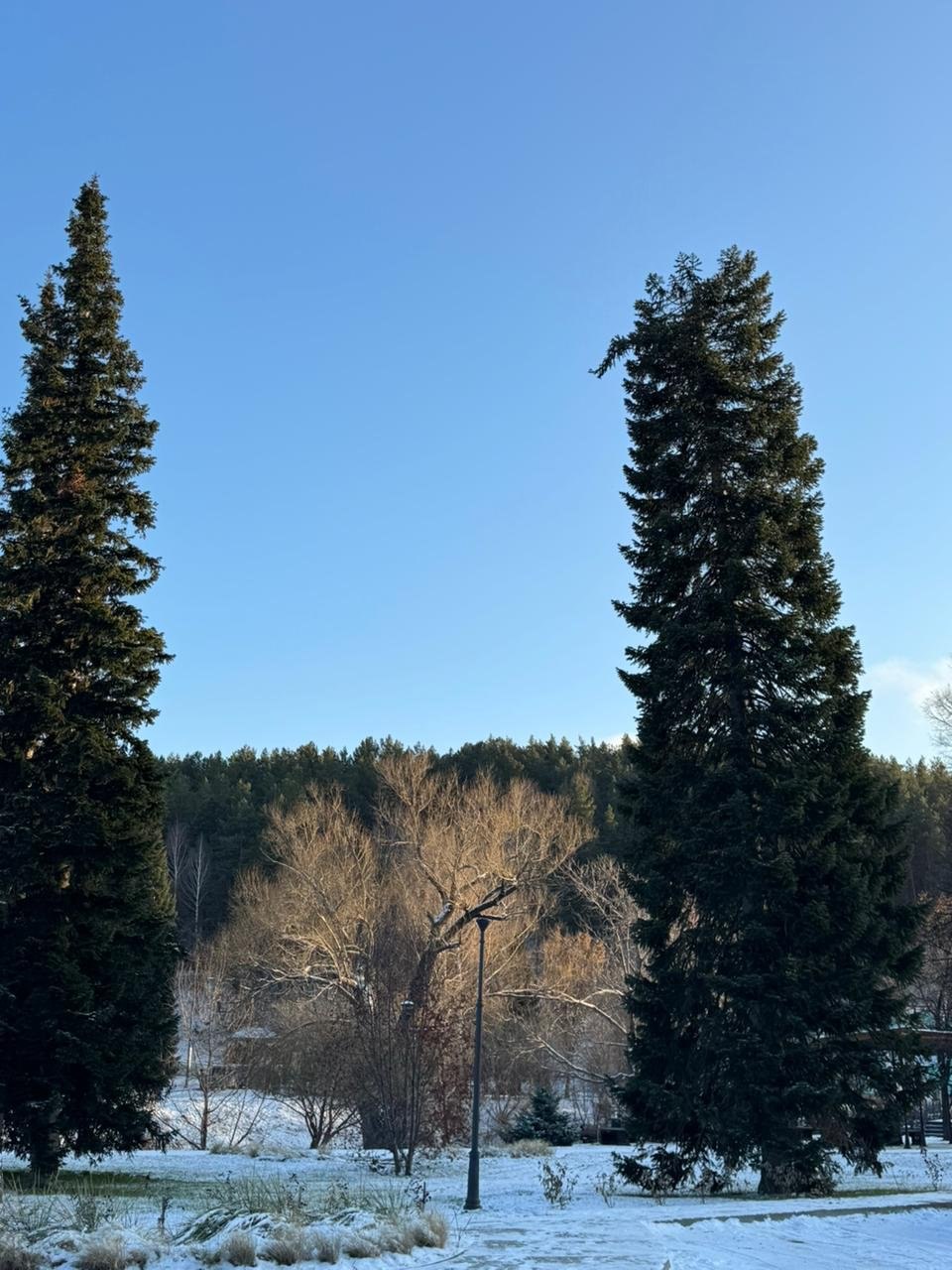 Съёмочная группа «Катунь 24» работает в Белокурихе Съёмочная группа «Катунь 24» работает в Белокурихе