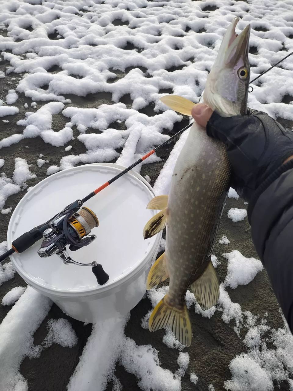 В Алтайском крае одни рыбаки закрывают сезон, а другие уже вышли на первый лед В Алтайском крае одни рыбаки закрывают сезон, а другие уже вышли на первый лед