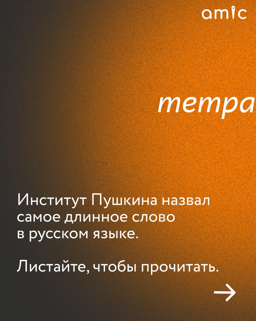 Какое слово в русском языке самое длинное? Институт Пушкина назвал такое, пишет РИА Новости