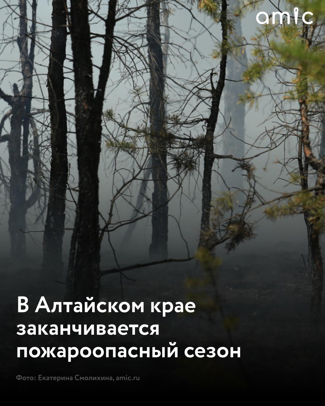 10 ноября в Алтайском крае закончится пожароопасный сезон
