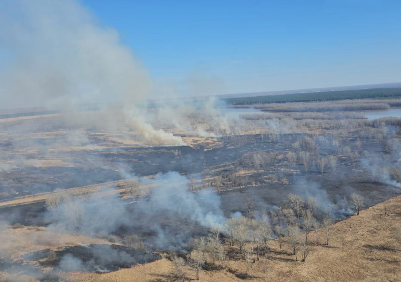 Пожароопасный сезон завершается в Алтайском крае