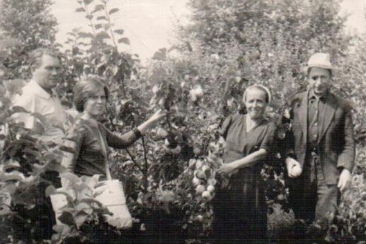 Иван Яркин: человек, вырастивший сад в предгорьях Алтая Иван Яркин: человек, вырастивший сад в предгорьях Алтая