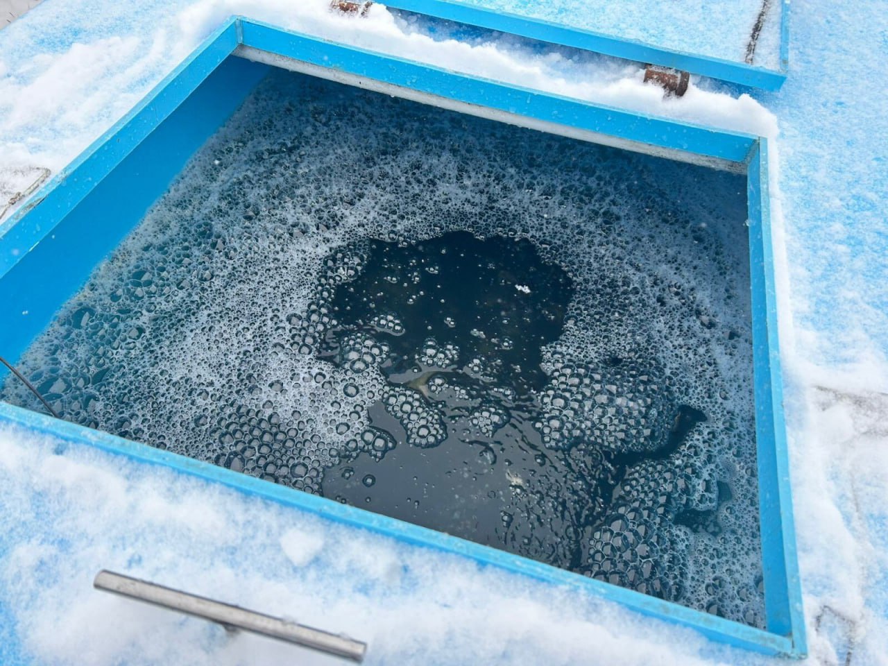 В Обь выпустили более 40 тысяч мальков сазана В Обь выпустили более 40 тысяч мальков сазана