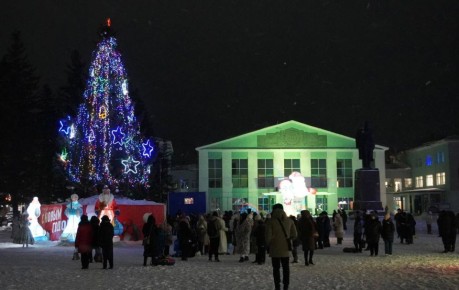 В Рубцовске ищут высокую ель для украшения города к Новому году