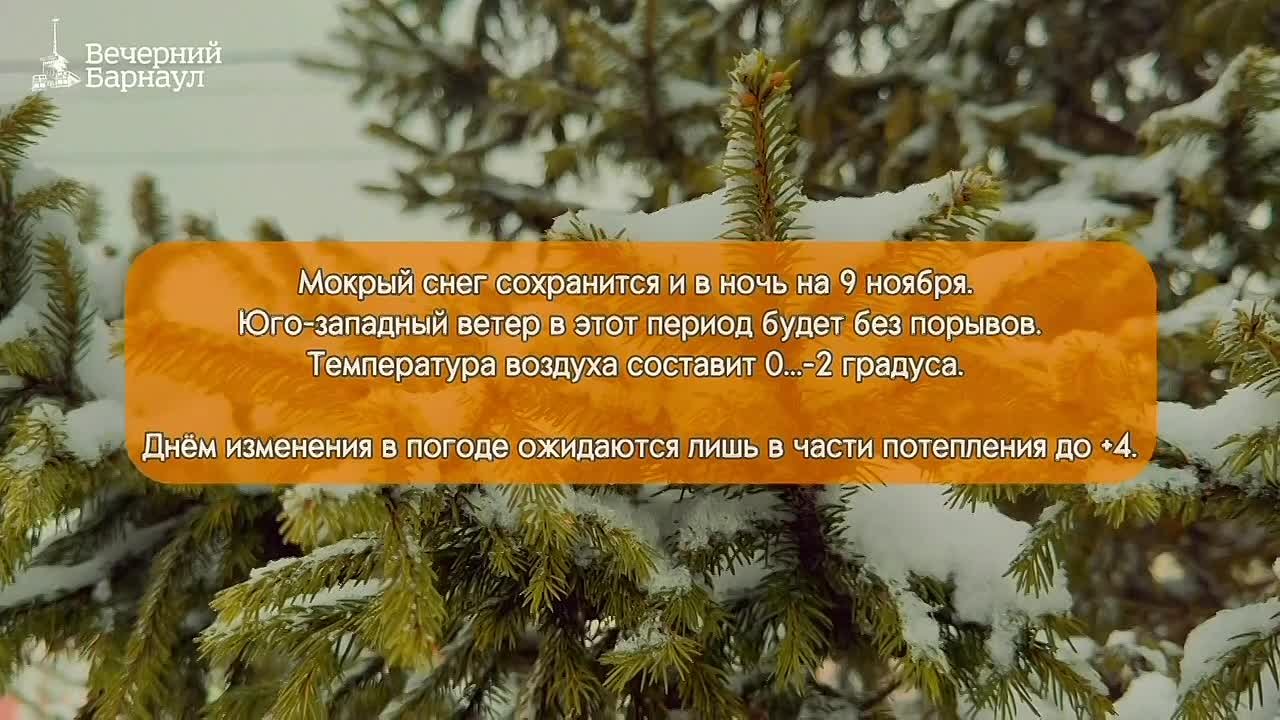 8 и 9 ноября в Барнауле ожидается снег, гололедица и порывистый ветер