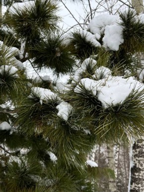 Короткая рабочая неделя быстро подошла к концу — вот уже и пятница