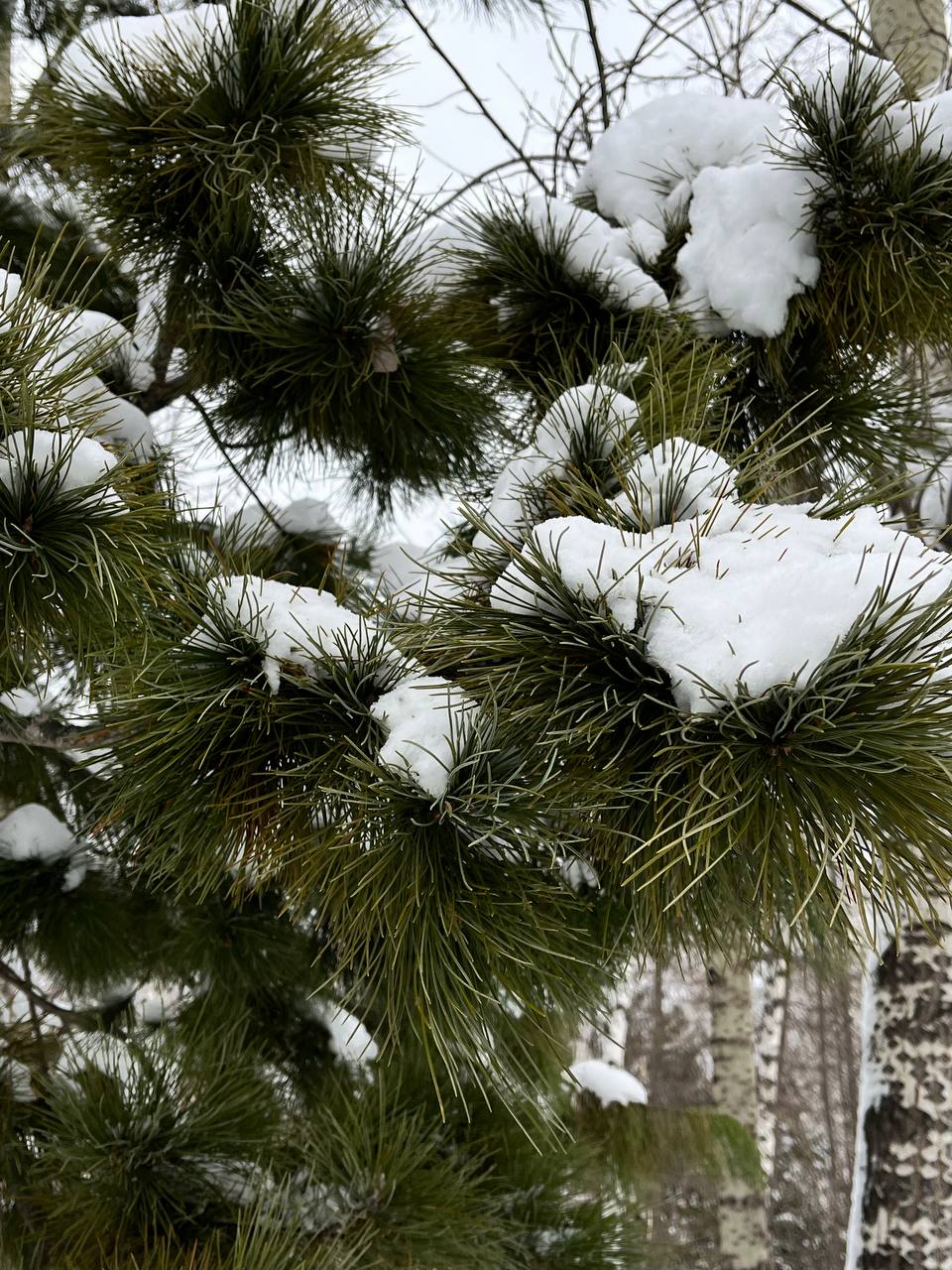 Короткая рабочая неделя быстро подошла к концу — вот уже и пятница