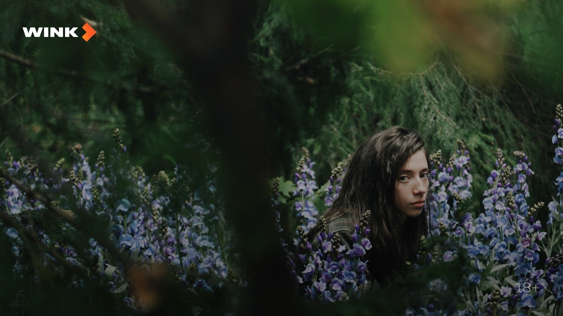 Александр Петров сыграет в сериале про барнаульского маньяка Александр Петров сыграет в сериале про барнаульского маньяка