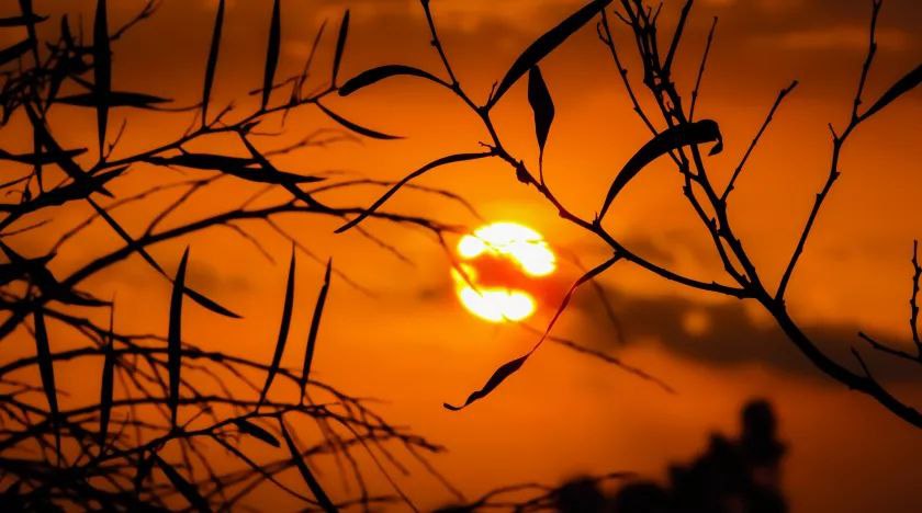 На Земле 7 ноября ожидается одна из самых мощных магнитных бурь за последние годы