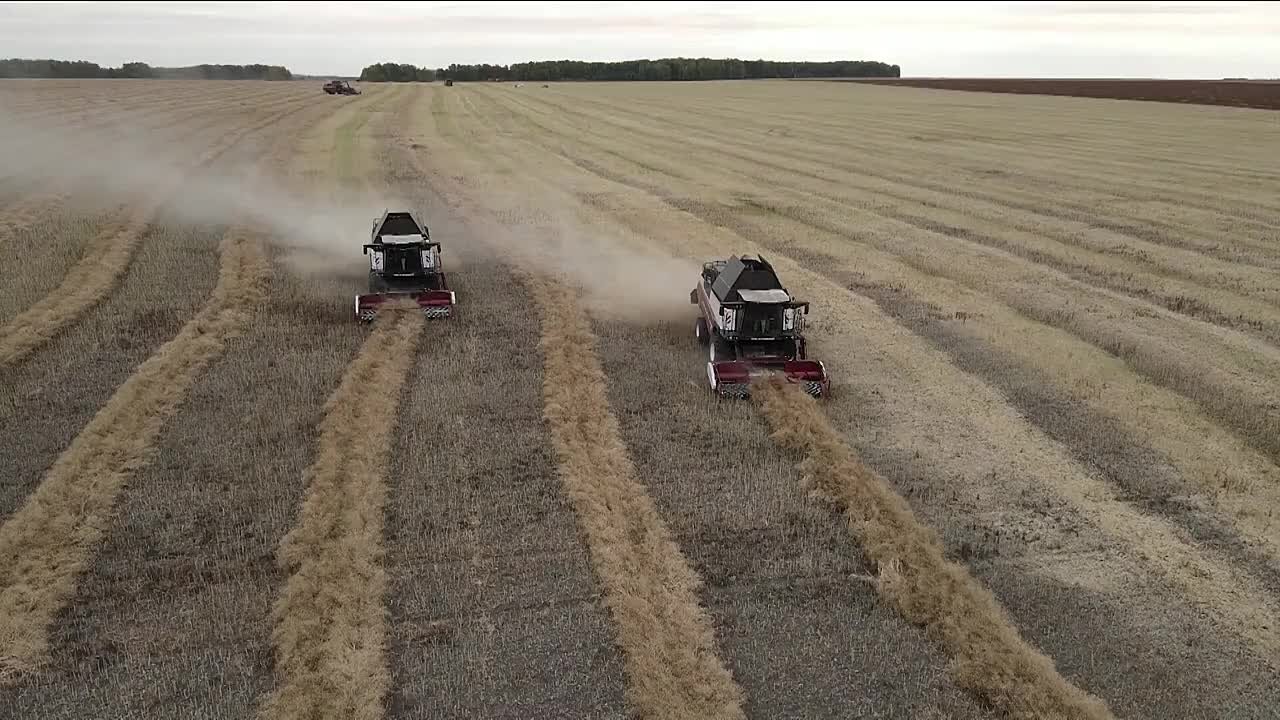 Рекордная урожайность и стремительный рост экспорта — об этих успехах Алтайского края рассказал губернатор Виктор Томенко на «Сибирской аграрной неделе»