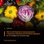 Напоминаем, мокрый снег и усиление ветра повлияли на проведение продовольственных ярмарок 8 ноября в Барнауле
