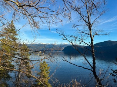 В Алтайском заповеднике показали природу, замершую в ожидании зимы