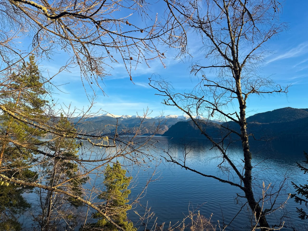 В Алтайском заповеднике показали природу, замершую в ожидании зимы