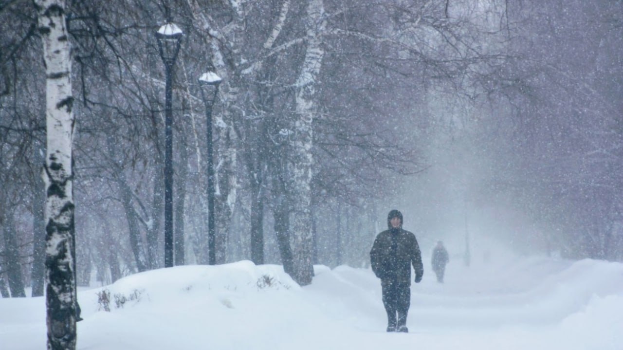 Метели, снег и порывистый ветер с новыми силами обрушатся на Алтайский край 10 ноября