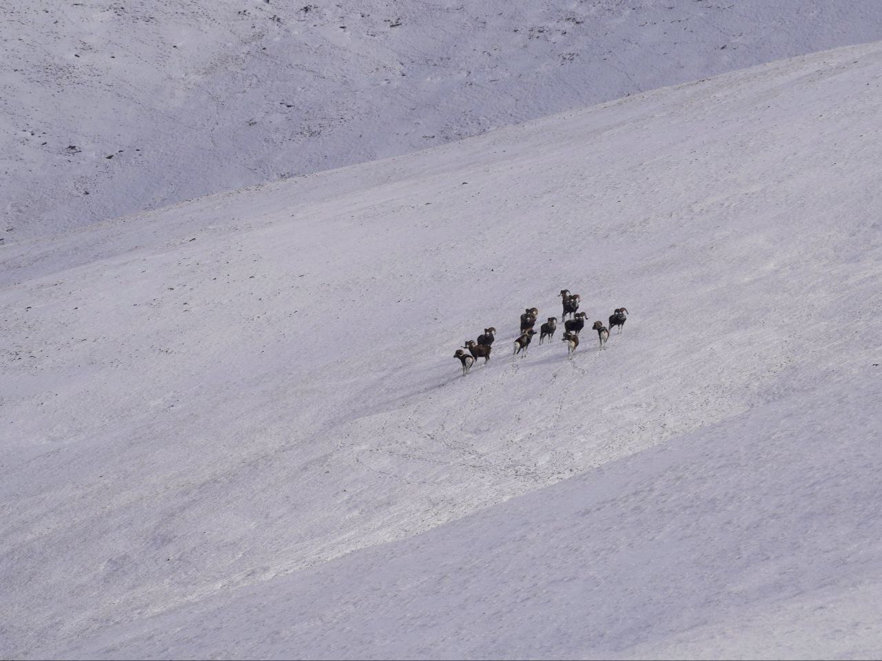 Сюрреалистичные пейзажи запечатлели в Сайлюгемском нацпарке Сюрреалистичные пейзажи запечатлели в Сайлюгемском нацпарке